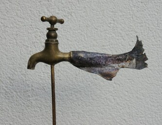 Wasserhahnfisch
